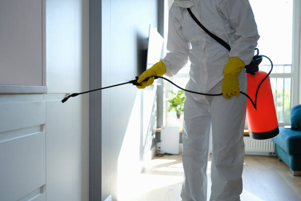 Best Commercial Mold Removal  in Westminster, CA