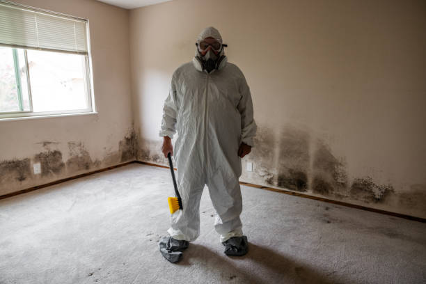 Best Mold Damage Repair  in Westminster, CA